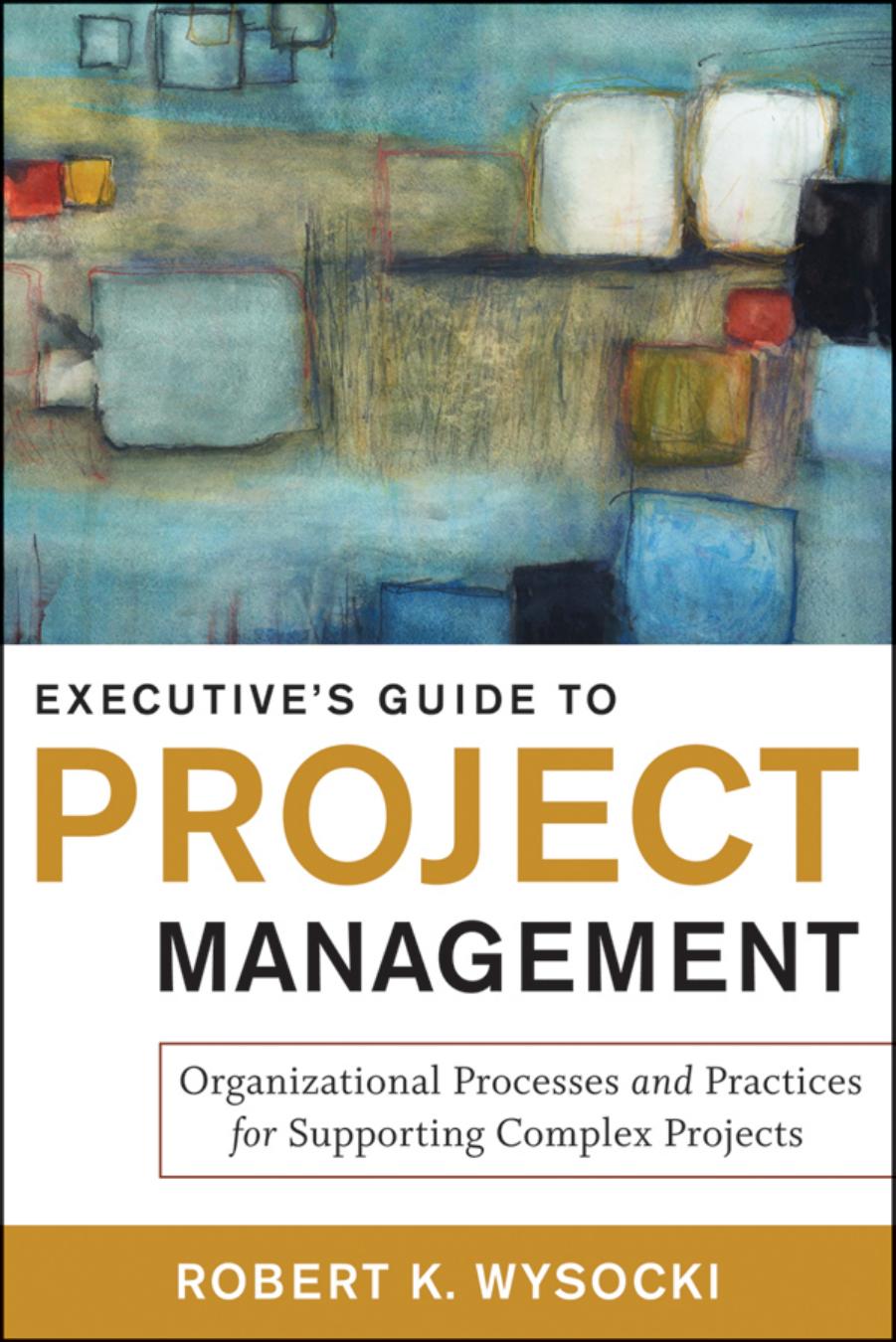 Executive's Guide to Project Management: Organizational Processes and Practices for Supporting Complex Projects